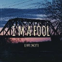 I'm a Fool cover