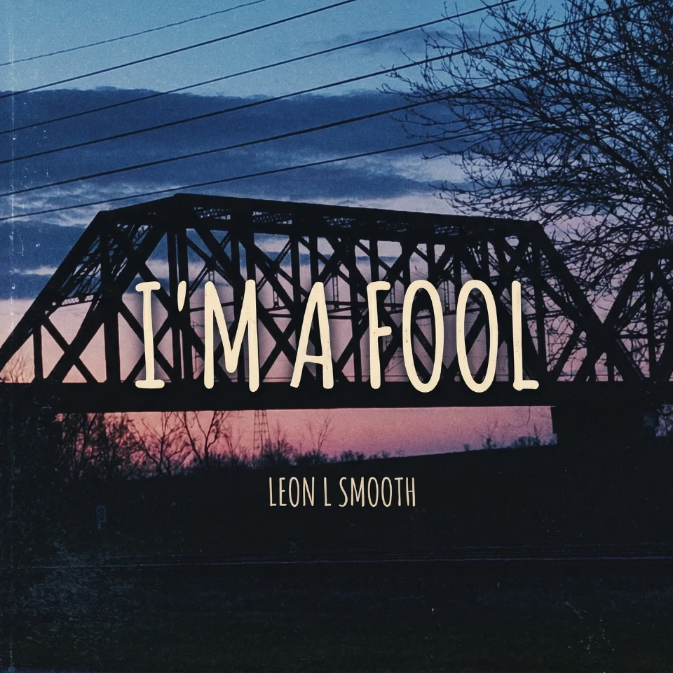 I'm a Fool cover