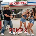 Pump 2 cover