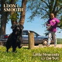 Little Moments in the Sun cover