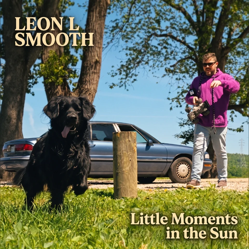 Little Moments in the Sun cover